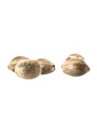 Super Autoflowers has the biggest selection of marijuana seeds