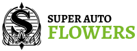 Super Autoflowers